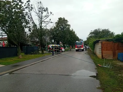 Sturm – Tag 2: Bäume beseitigt 2