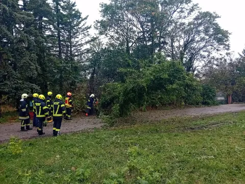 Sturm – Tag 2: Bäume beseitigt 3