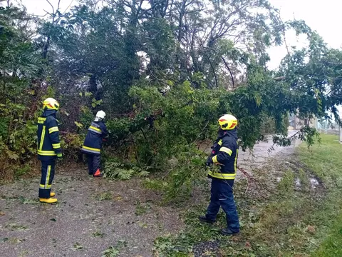 Sturm – Tag 2: Bäume beseitigt 4