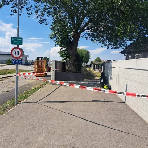 Baum über Straße 2