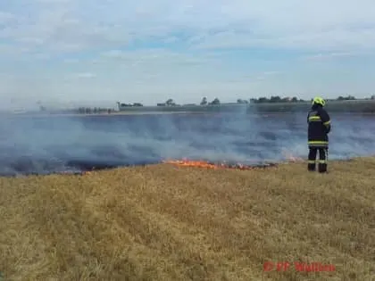 Flurbrand Wallern 2017 3