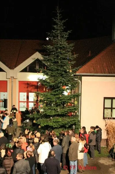 Christbaumstellen 2009 3