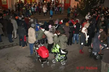 Christbaumstellen 2013 8