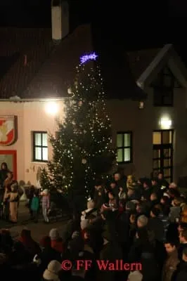 Christbaumstellen 2013 39