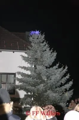 Christbaumstellen 2014 30