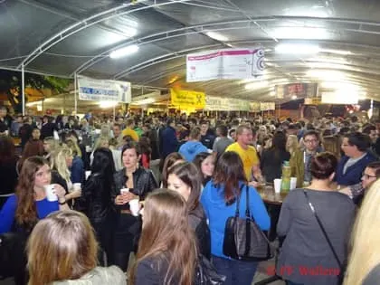 Kirtag 2014 17