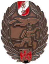 asla bgld bronze
